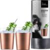 Eisch Cocktailglas Secco Flavoured Moscow Mule