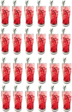 Provance Cocktailglas 24 x Cocktailglas 300ml Ø 6